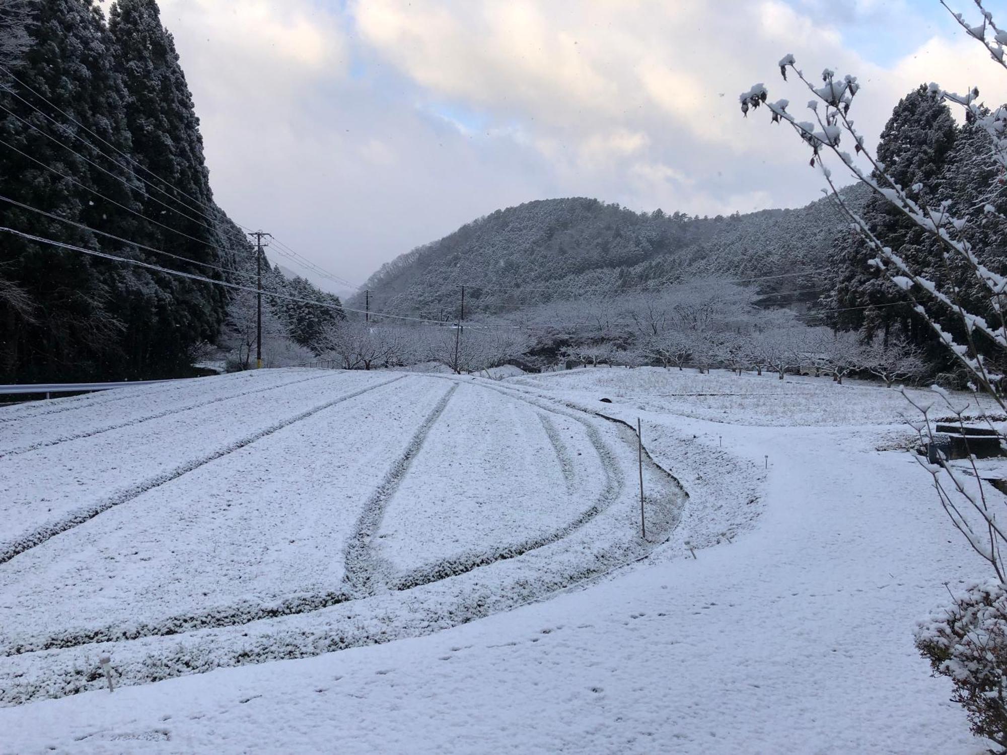 Satoyama Hotel Kanenone Tamba ไมบาระ ภายนอก รูปภาพ