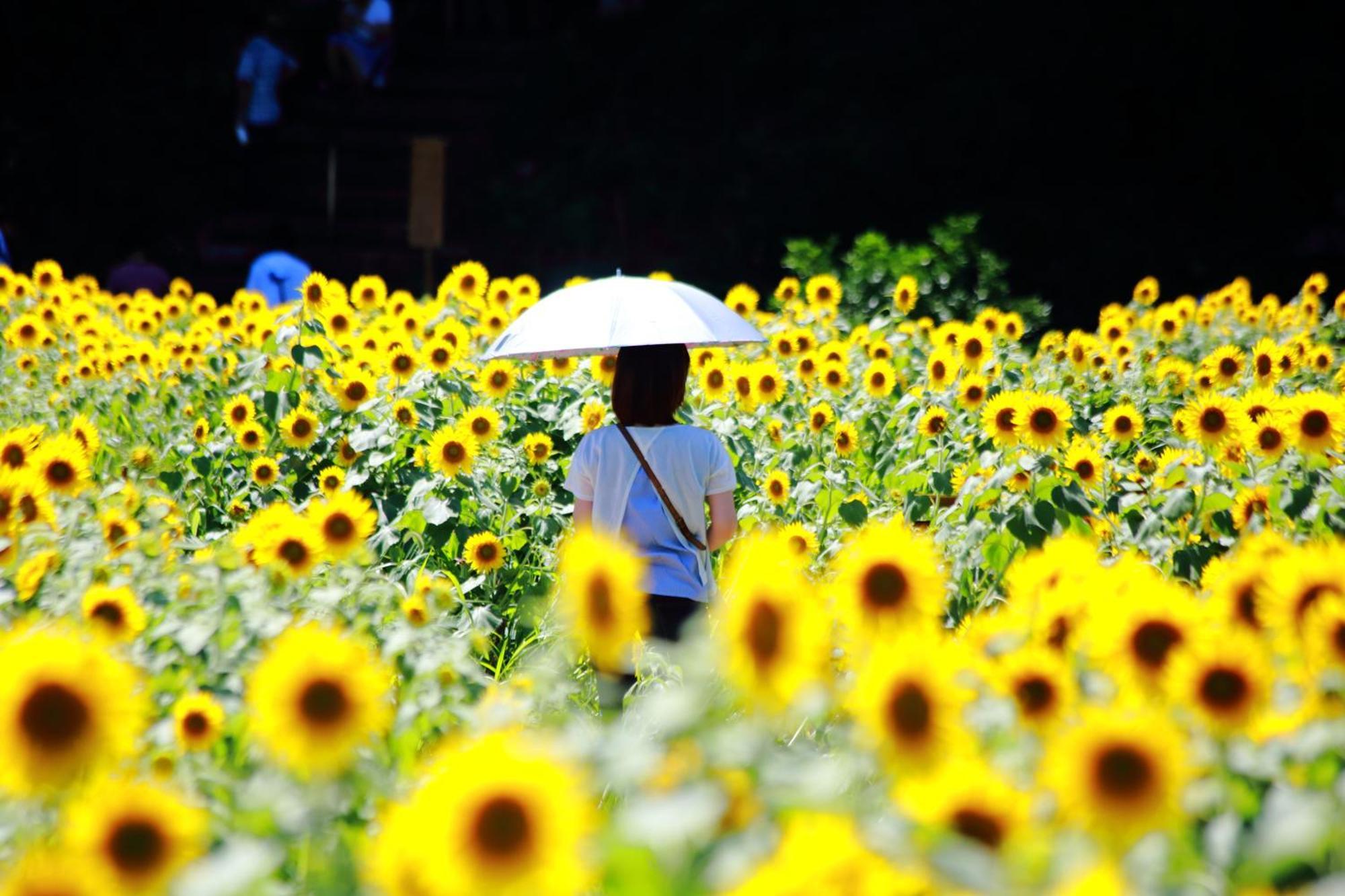 Satoyama Hotel Kanenone Tamba ไมบาระ ภายนอก รูปภาพ