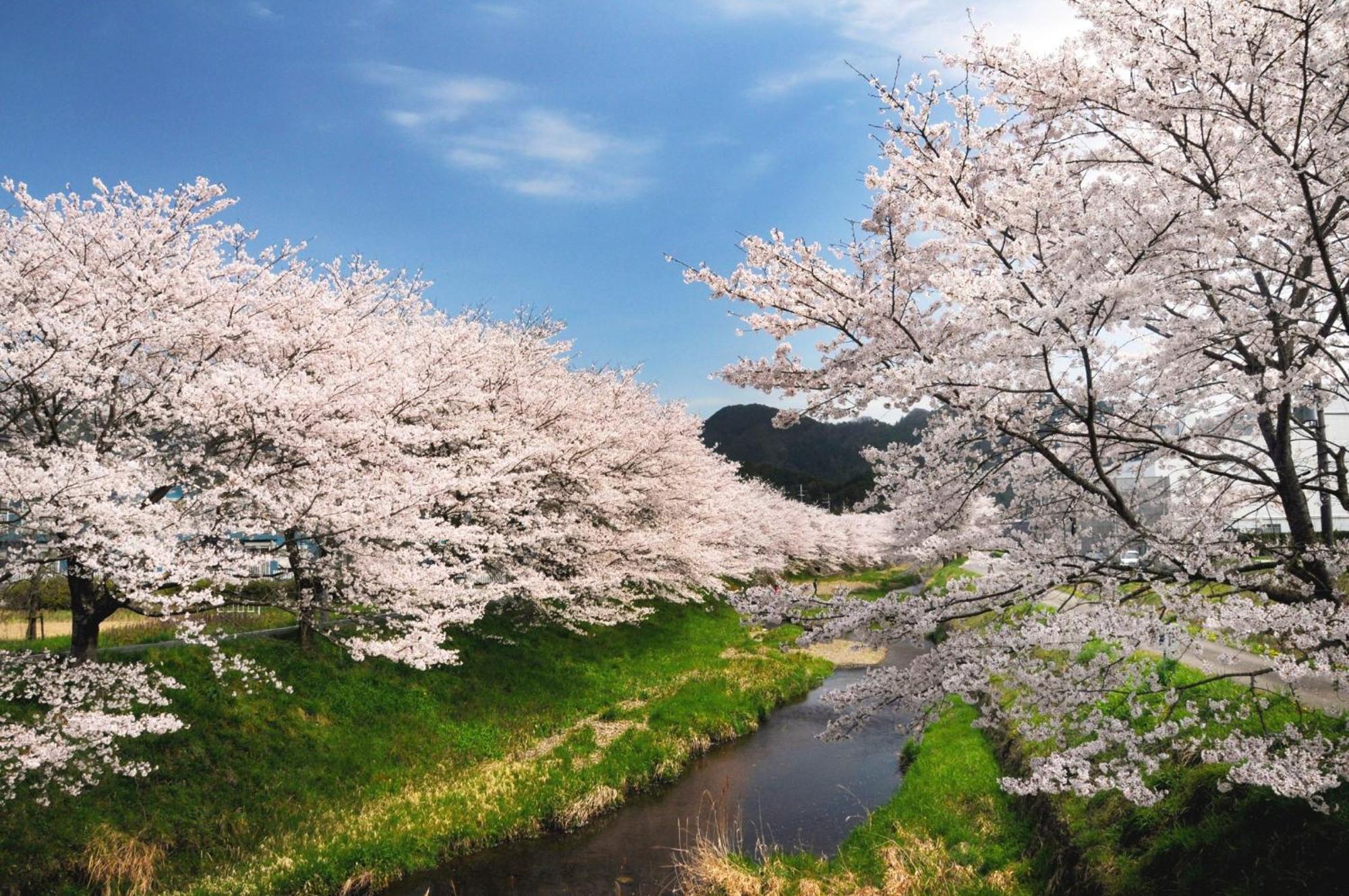 Satoyama Hotel Kanenone Tamba ไมบาระ ภายนอก รูปภาพ