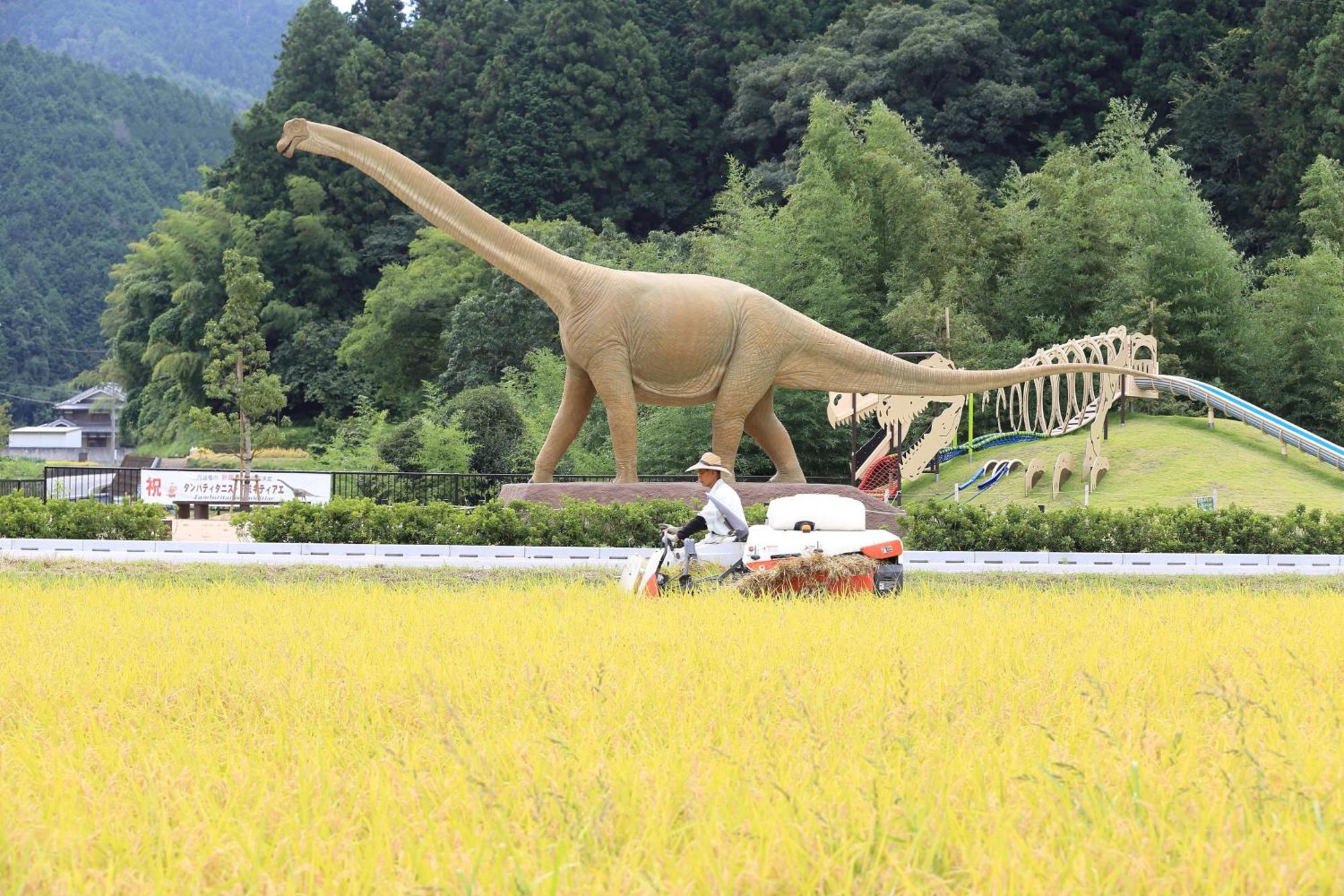 Satoyama Hotel Kanenone Tamba ไมบาระ ภายนอก รูปภาพ