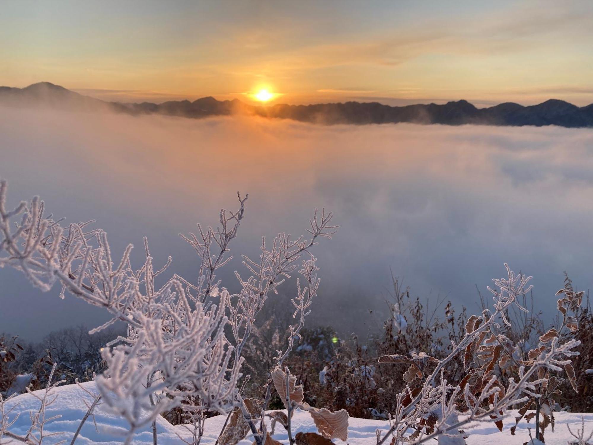 Satoyama Hotel Kanenone Tamba ไมบาระ ภายนอก รูปภาพ