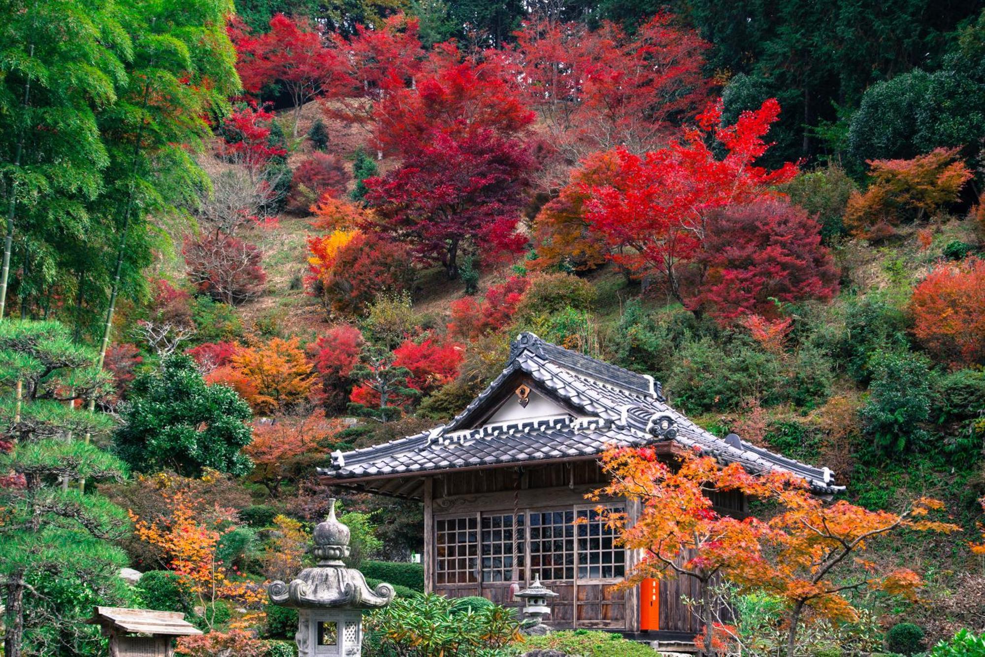 Satoyama Hotel Kanenone Tamba ไมบาระ ภายนอก รูปภาพ
