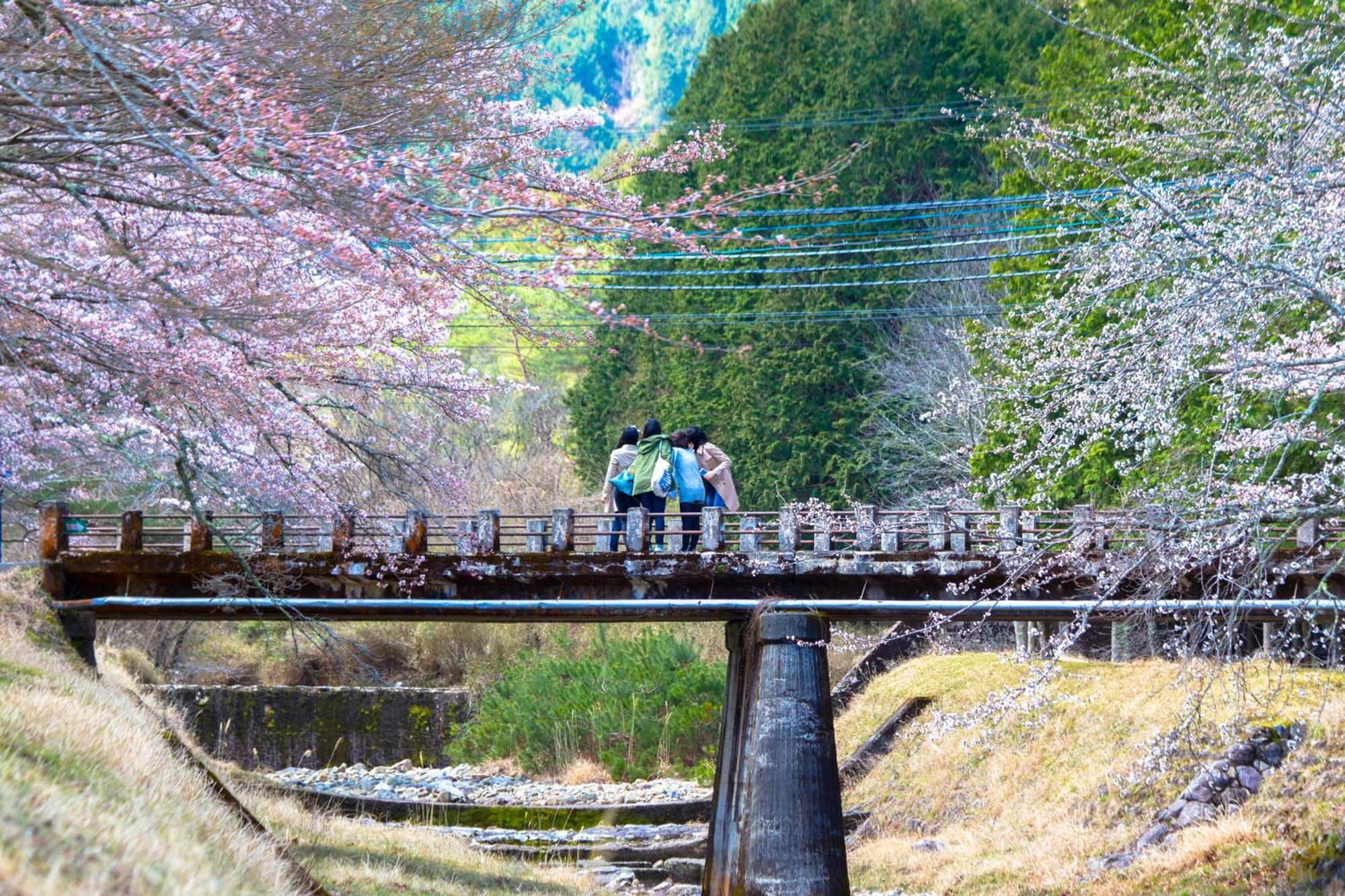 Satoyama Hotel Kanenone Tamba ไมบาระ ภายนอก รูปภาพ
