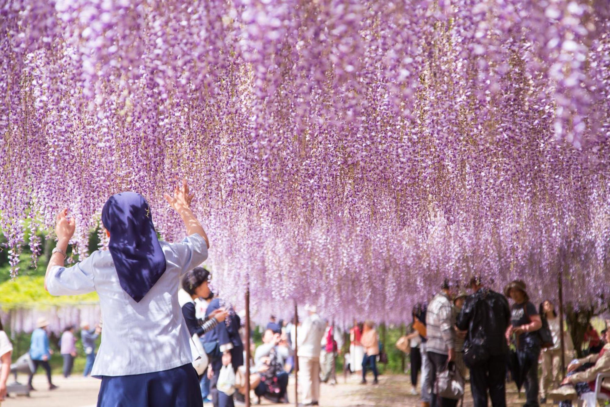Satoyama Hotel Kanenone Tamba ไมบาระ ภายนอก รูปภาพ