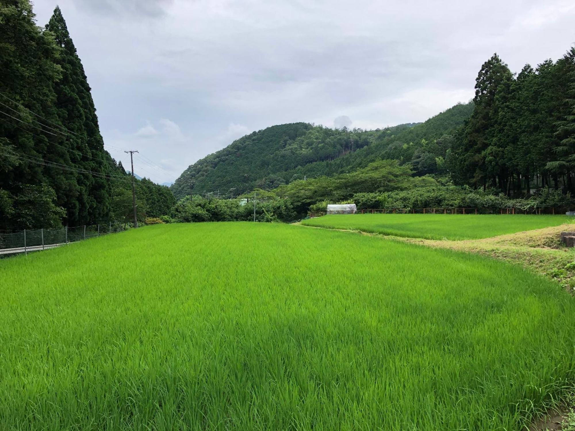 Satoyama Hotel Kanenone Tamba ไมบาระ ภายนอก รูปภาพ