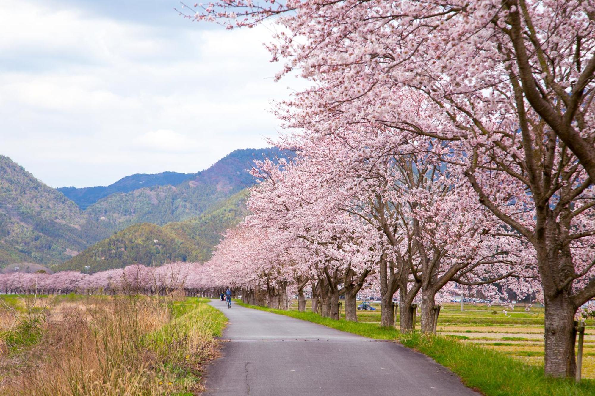 Satoyama Hotel Kanenone Tamba ไมบาระ ภายนอก รูปภาพ