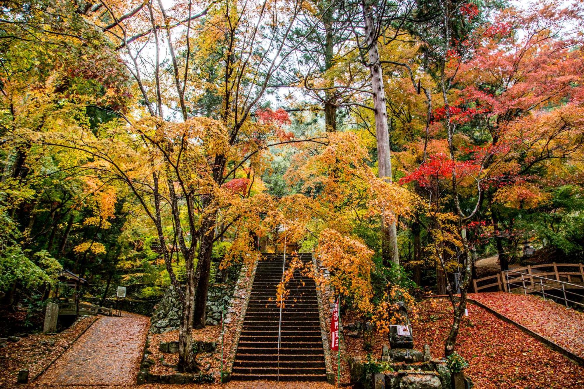 Satoyama Hotel Kanenone Tamba ไมบาระ ภายนอก รูปภาพ