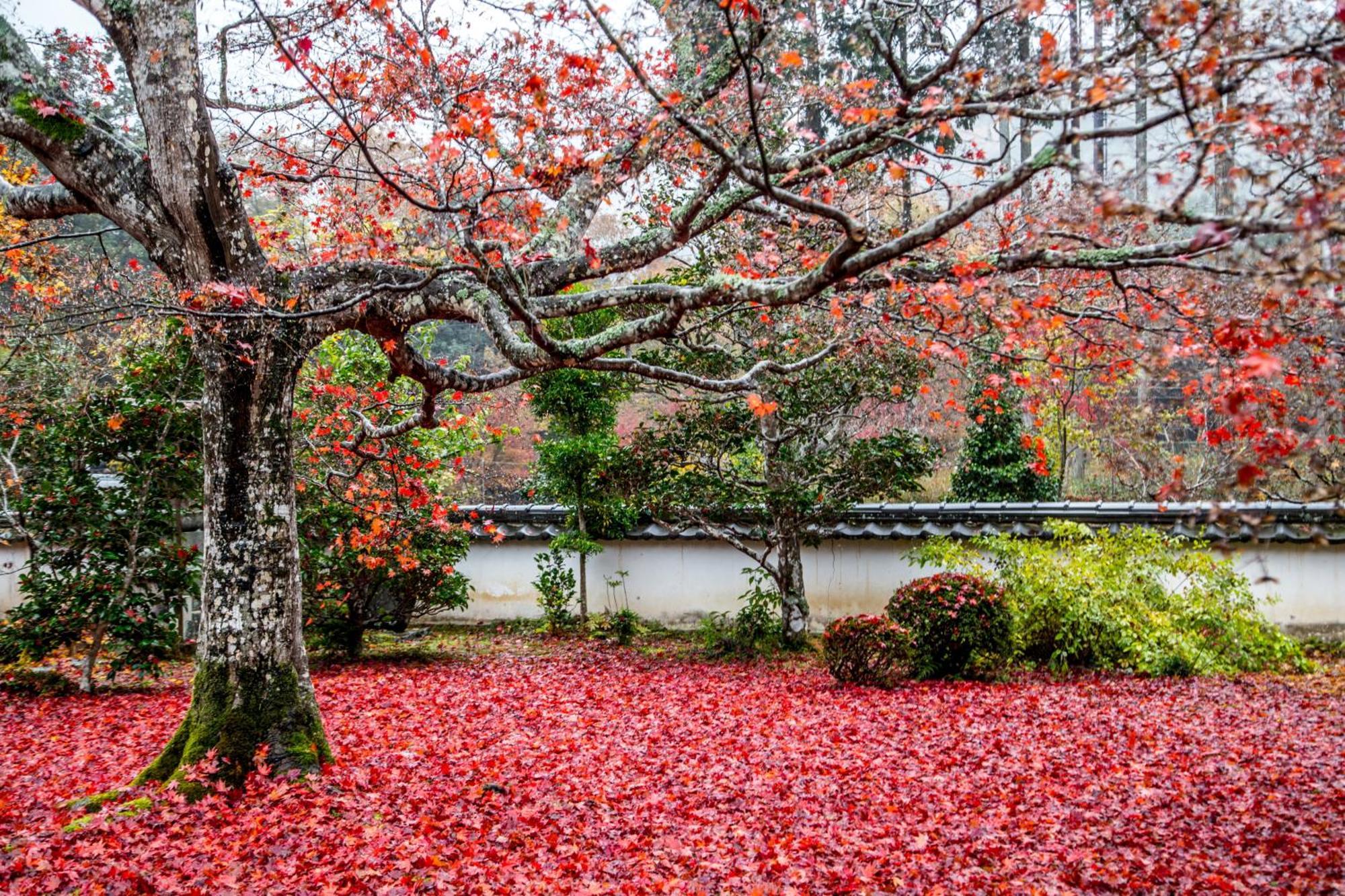Satoyama Hotel Kanenone Tamba ไมบาระ ภายนอก รูปภาพ