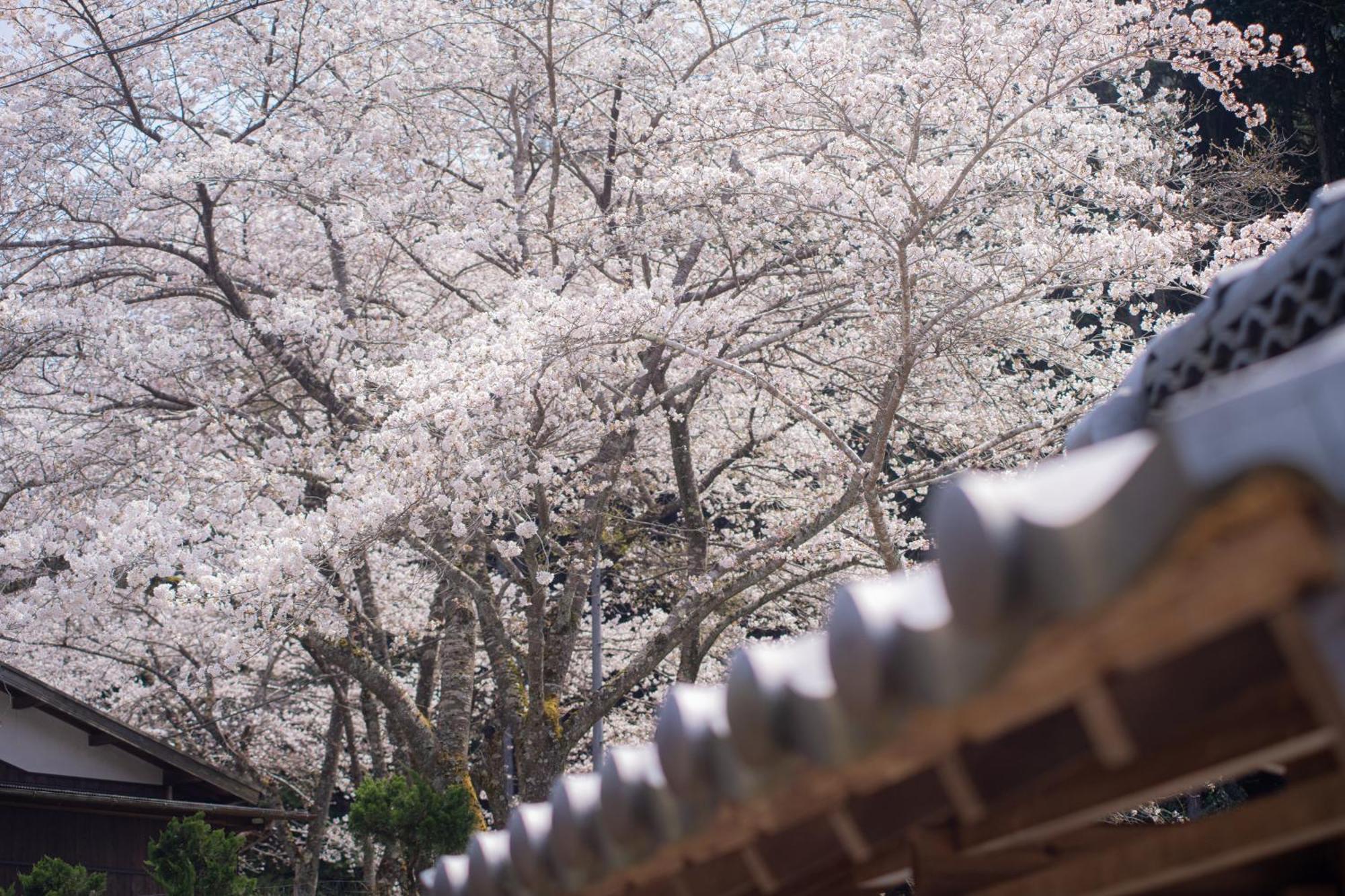 Satoyama Hotel Kanenone Tamba ไมบาระ ภายนอก รูปภาพ